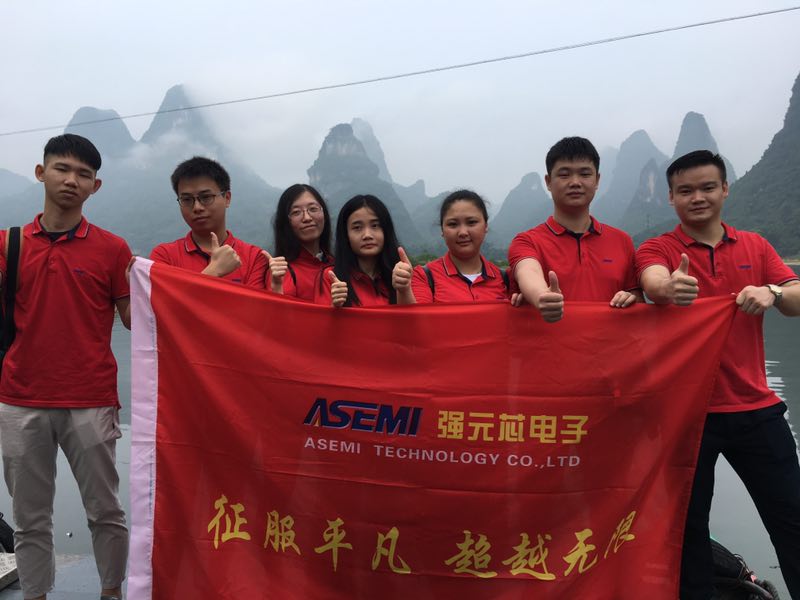 Thanks for your support and trust to ASEMI ten years!